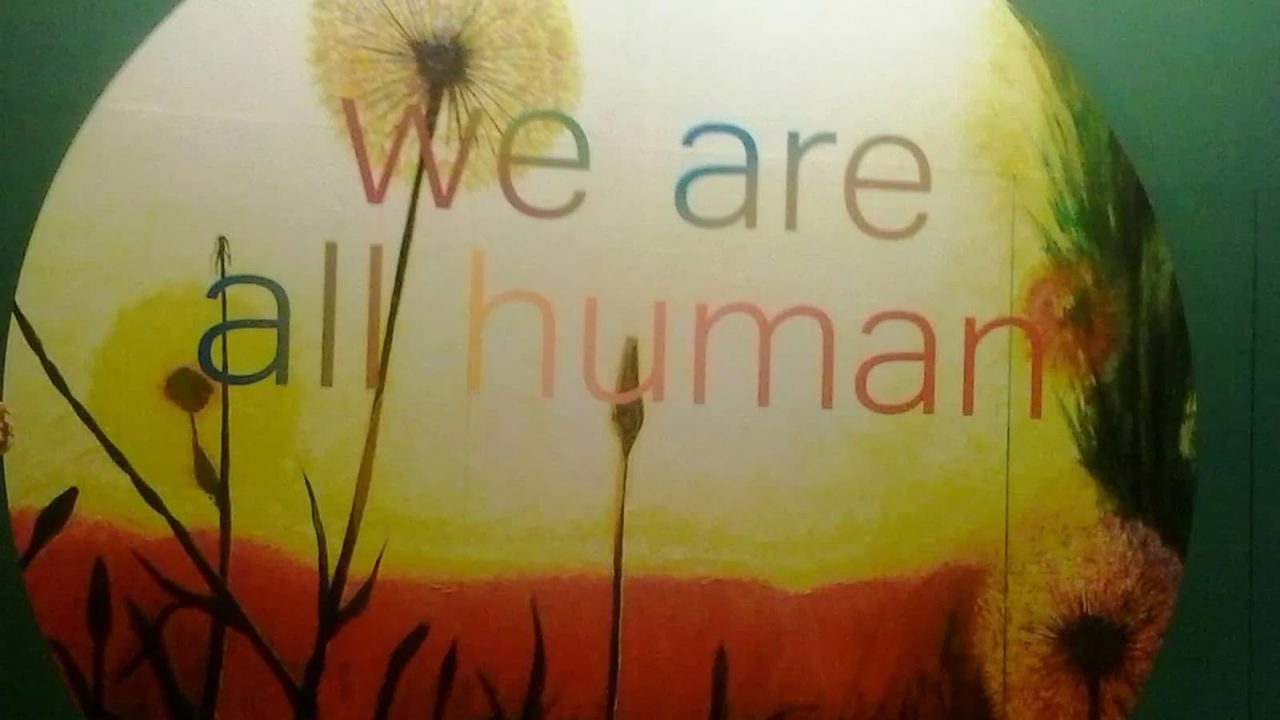We Are All Human Exhibition